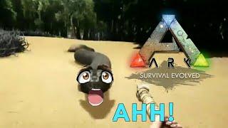 Ark Survival Evolved Funny Moments!
