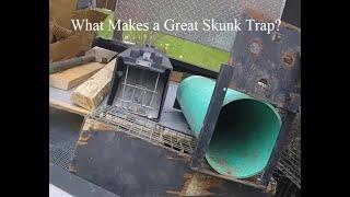 What is the Best Skunk Trap? |  Skunk Specific Trap | No Spray