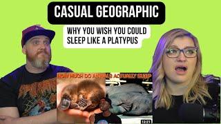 Why You Wish You Could Sleep like a Platypus @mndiaye_97 | HatGuy & @gnarlynikki Reaction