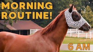 Equestrian Summer MORNING ROUTINE!