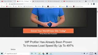 The Biggest WordPress Speed Problems Fixed . Thanks To WP PROFILER