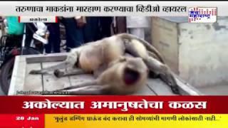 MAN BEAT MONKEY IN AKOLA, VIDEO VIRAL ON SOCIAL MEDIA