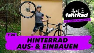 Hinterrad ausbauen & einbauen (ohne Montageständer, dafür mit Lama!) – #6 How To fahrRad