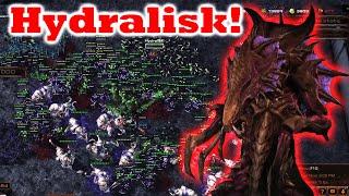 The Hydralisk can create Gigantic armies! Zombie World Unity test / Starcraft 2 arcade