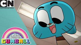 Partnersuche | Die fantastische Woche von Gumball | Cartoon Network