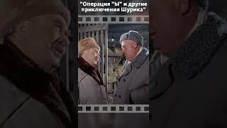 Пол литра вдребезги. Как пройти в библиотеку. Операция "Ы" #юмор #кино #фильм