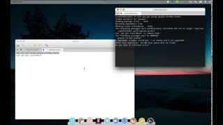 How to uninstall Google Chrome on linux (Elementary OS, ubuntu, mint)