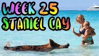 BAHAMAS!! Swimming Pigs and Hammerhead Sharks!! /// WEEK 25 : Staniel Cay and Bimini, Bahamas