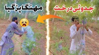 Jadui Ped Funny Video | Magical Tree Moral Stories in Hindi