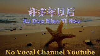 Xu Duo Nian Yi Hou ( 许多年以后 ) Male Karaoke Mandarin - No Vocal