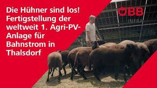 Die Hühner sind los | Fertigstellung der weltweit 1. Agri-PV-Anlage für Bahnstrom in Thalsdorf