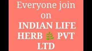 INDIAN LIFE HERB PVT. LTD. BUSINESS PLAN || FARUK ABDULLAH ||