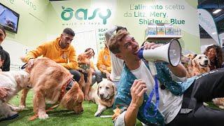 Oasy a QuattrozampeinFiera Torino con Filippo Capriotti e tantissimi cani!