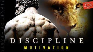 DISCIPLINE MOTIVATION | Philosophy Quotes - Stoicism