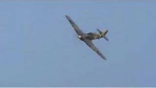 Shuttleworth's Merlins