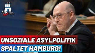 Unsoziale Asylpolitik SPALTET Hamburg! -Dr. Alexander Wolf (AfD)