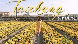 Taipei to Taichung Travel Guide (Rainbow Village & Zhong She Flower Farm)