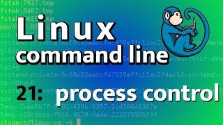 LCL 21 - Process control commands - Linux Command Line tutorial for forensics