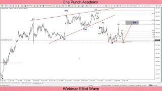 One Punch Academy Elliot Wave Webinar