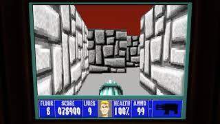 Wolfenstein II / Wolfstone 3D • Aardwolf Room