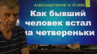 Как бывший человек встал на четвереньки. Теория инволюции. Александр Белов 14.07.2024 г.