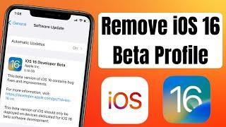 Remove iOS 16 Beta From Any iOS Device | Uninstall iOS 16 Developer Beta