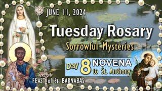 TUESDAY RosaryFEAST of St. BARNABAS, NOVENA St. ANTHONY Day-8, Sorrowful Mysteries, June 11, 2024