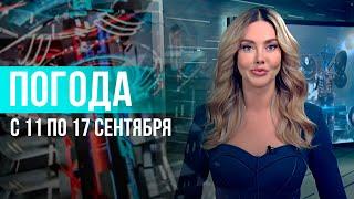 Погода на неделю 11-17 сентября 2023. Прогноз погоды. Беларусь | Метеогид