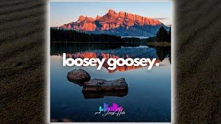 Nic D Type Beat 2024 | "Loosey Goosey"