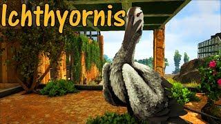 Ichthyornis Educational Special [46]