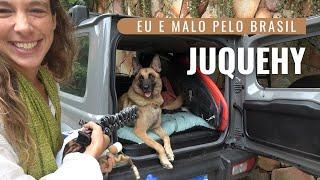 Desbravando o litoral de São Paulo com o meu cachorro!