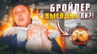 Выгодно ли выращивать БРОЙЛЕРА?! Схема пропойки. "Мое Подворье"