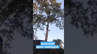 іранський дрон камікадзе