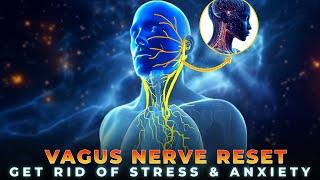 Heal and Reset Vagus Nerve With 528Hz Miracle Healing Frequency | Try 5 Min and Feel Stress free