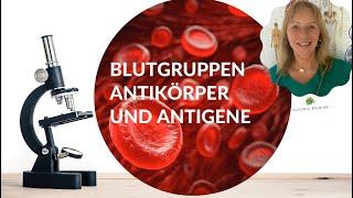 Blutgruppen-Antikörper und -Antigene (Teil 1 - Basiswissen)