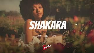 Afro Type Beat 2024 | Afro soul x Rema x Omah Lay Typebeat - SHAKARA