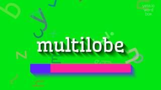 How to say "multilobe"! (High Quality Voices)