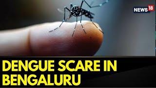 Bengaluru Sees 1000 Dengue Cases In Three Weeks; BBMP Chief Tests Positive: Report | News18