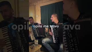 Balša Jovanović i Robert Drinovac - Trava