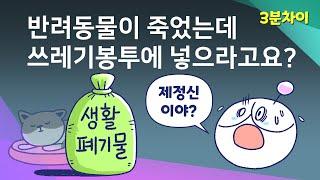 반려동물이 죽으면 어떻게 해야 할까?