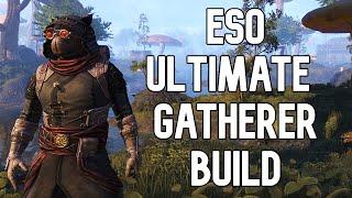 ESO Master Gatherer/Farming Build And Guide