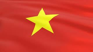 Flag of Vietnam waving in the wind - Flag animation - Motion background - 4K UHD