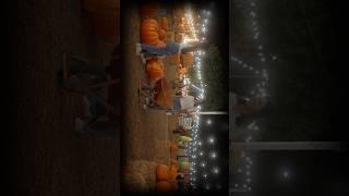 Cinematic Pumpkin Patch Moments | Sony FX3 #shorts #cinematic #halloween2024 #fx3