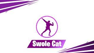 Fortnite - Swole Cat [Music]