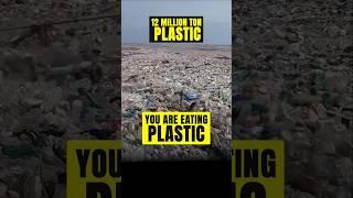 You are eating plastic