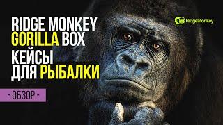 Обзор жёстких кейсов для рыболовного снаряжения RidgeMonkey GorillaBox