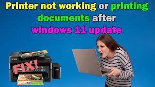 FIX ! Printer not working or printing documents after windows 11 update