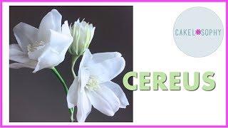 CEREUS Flower: Making Life-Like Flowers out of Cold Porcelain or Gumpaste 2020