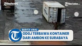 Viral Video ODGJ Asal Maluku Terbawa Kontainer Dari Ambon ke Surabaya