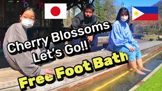 Free Foot Bath in Japan | Cherry Blossoms | Filipino Single Father in Japan